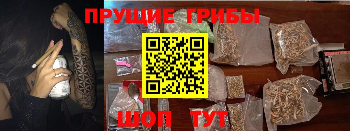 Бердск  Галлюциногенные грибы прущие грибы  Вход с VPN 